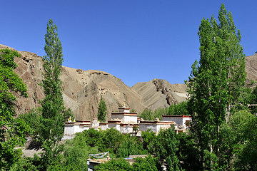 Visit Alchi Monastery