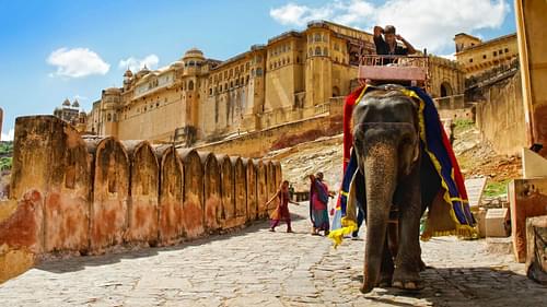 Enjoy an elephant ride at Amer Fort