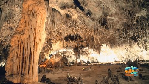 Explore Baratang Island and its limestone caves
