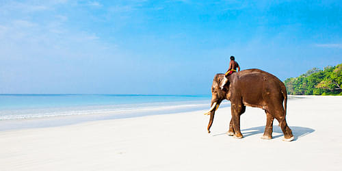 Visit Elephant Beach