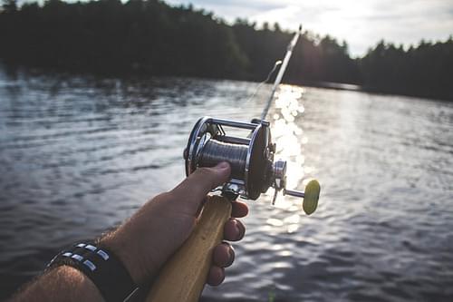 Go on a fishing trip