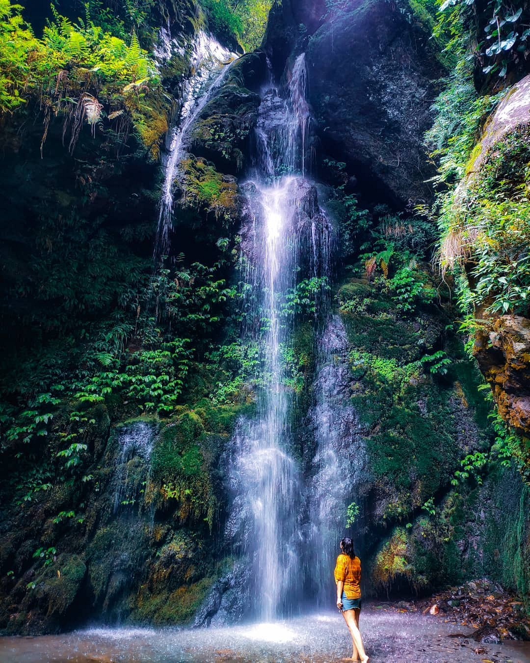 Visit Jibhi Waterfall
