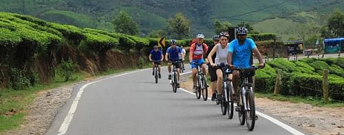 Take a cycling tour around the village