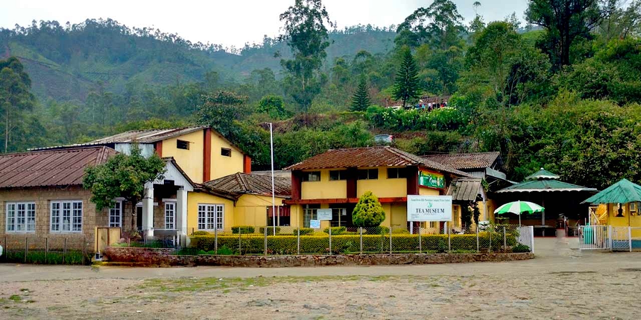 Visit the Tea Museum and Factory
