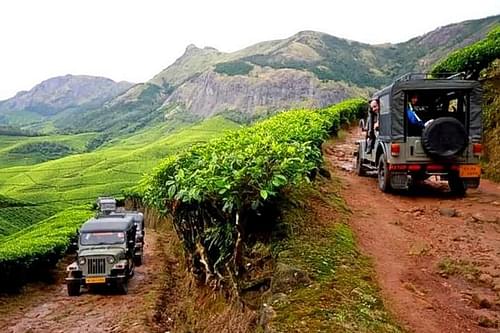 Take a jeep safari to Kolukkumalai Tea Estate