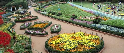 Explore the Botanical Gardens