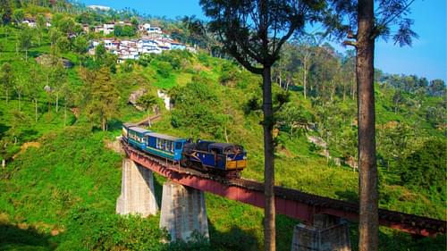 Take a ride on the Nilgiri Mountain Railway
